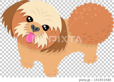 An illustration of a Shih Tzu looking up at the viewer. An illustration of a Shih Tzu looking up at the viewer. 141931480