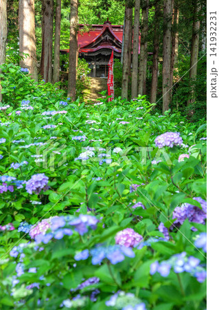 あじさい寺 あじさい寺 141932231