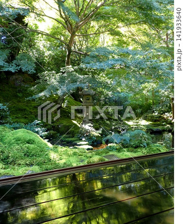 京都　瑠璃光院　庭　秋 141933640