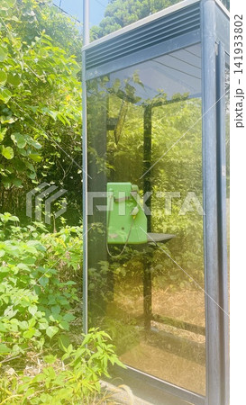 緑に囲まれた公衆電話ボックス 緑に囲まれた公衆電話ボックス 141933802