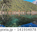 Forest Reflection And Submerged Wood In Mirror Lake Jiuzhaigou National Park 141934078