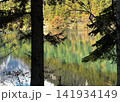 Autumn Forest Reflection Through Pine Trees In Mirror Lake Jiuzhaigou National Park 141934149