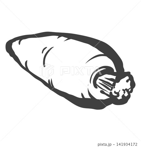 にんじんの手描き筆絵風イラスト にんじんの手描き筆絵風イラスト 141934172