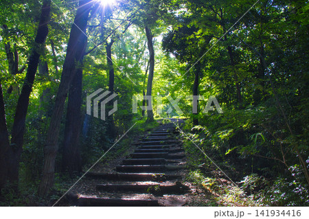 【神奈川県】弘法山公園のハイキングコース 【神奈川県】弘法山公園のハイキングコース 141934416