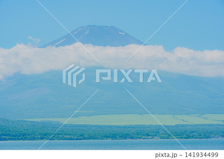 山中湖から望む夏の富士山 141934499