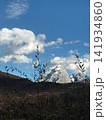Snow Capped Mountain Peak Framed By Tree Branches Near Jiuzhaigou 141934860