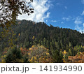 Colorful Autumn Foliage And Alpine Forest In Jiuzhaigou National Park 141934990