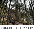 Wooden Boardwalk Staircase Through Dense Pine Forest In Jiuzhaigou National Park 141935116