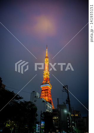 夜の芝公園から見上げるライトアップされた東京タワーと夜景 141935151