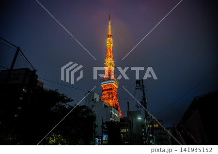 夜の芝公園から見上げるライトアップされた東京タワーと夜景 夜の芝公園から見上げるライトアップされた東京タワーと夜景 141935152