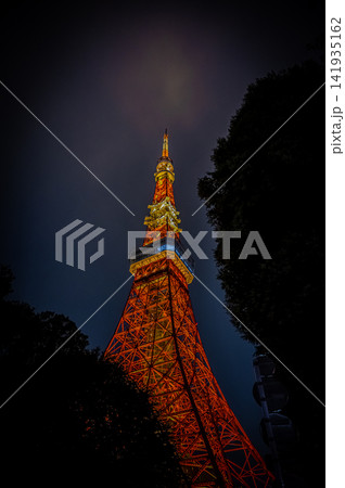 夜の芝公園から見上げるライトアップされた東京タワーと夜景 夜の芝公園から見上げるライトアップされた東京タワーと夜景 141935162