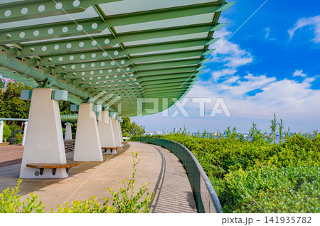 夏の快晴の港の見える丘公園から望む横浜港とベイブリッジの絶景 夏の快晴の港の見える丘公園から望む横浜港とベイブリッジの絶景 141935782