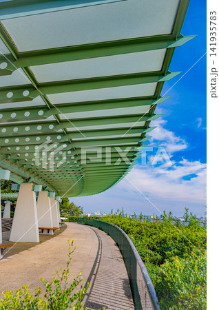 夏の快晴の港の見える丘公園から望む横浜港とベイブリッジの絶景 141935783