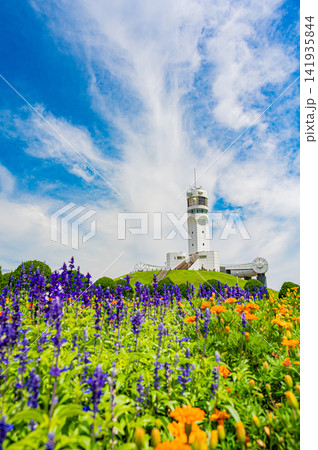 夏の快晴の空に映える白い横浜港シンボルタワーと芝生広場の青空風景 141935844
