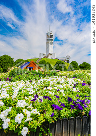 夏の快晴の空に映える白い横浜港シンボルタワーと芝生広場の青空風景 夏の快晴の空に映える白い横浜港シンボルタワーと芝生広場の青空風景 141935845