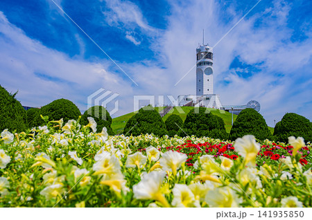 夏の快晴の空に映える白い横浜港シンボルタワーと芝生広場の青空風景 夏の快晴の空に映える白い横浜港シンボルタワーと芝生広場の青空風景 141935850