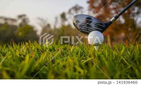 Golf clubs and balls on a green lawn in a beautiful golf course with morning sunshine. Golf clubs and balls on a green lawn in a beautiful golf course with morning sunshine. 141936460
