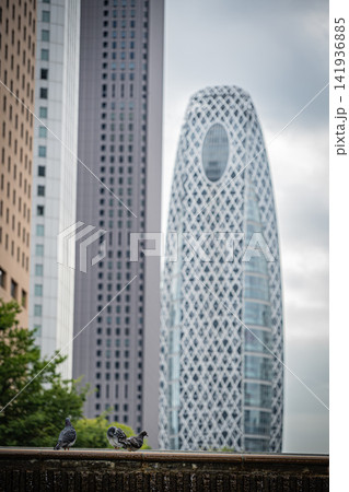 夏の快晴の青空にそびえ立つ東京都庁第一本庁舎の全景 夏の快晴の青空にそびえ立つ東京都庁第一本庁舎の全景 141936885