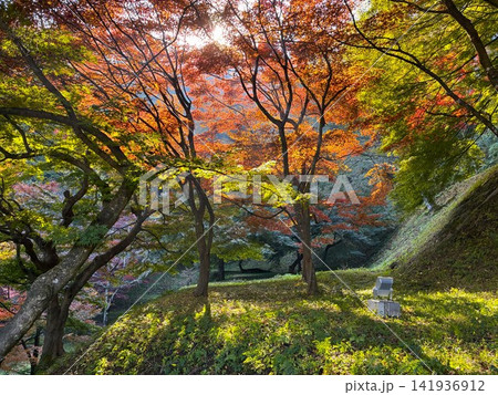 天童公園(舞鶴山)の紅葉 天童公園(舞鶴山)の紅葉 141936912