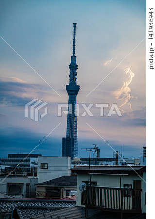 東京スカイツリーと隅田川花火大会の美しい大輪の花火が彩る夏の夜景 東京スカイツリーと隅田川花火大会の美しい大輪の花火が彩る夏の夜景 141936943
