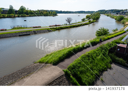 千波大橋から桜川と千波湖を眺める　逆光　茨城県水戸市中央 141937178