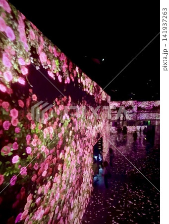 アルテミュージアム釜山の幻想的な花のデジタルアート|韓国旅行の美しい映像空間 アルテミュージアム釜山の幻想的な花のデジタルアート|韓国旅行の美しい映像空間 141937263