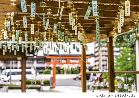 夏の竹駒神社 参道の風鈴 夏詣 宮城県岩沼市 夏の竹駒神社 参道の風鈴 夏詣 宮城県岩沼市 141937333