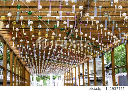 夏の竹駒神社 参道の風鈴 夏詣 宮城県岩沼市 夏の竹駒神社 参道の風鈴 夏詣 宮城県岩沼市 141937335
