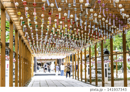夏の竹駒神社　参道の風鈴　夏詣　宮城県岩沼市 141937343
