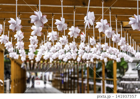 夏の竹駒神社 参道の風車 夏詣 宮城県岩沼市 夏の竹駒神社 参道の風車 夏詣 宮城県岩沼市 141937357