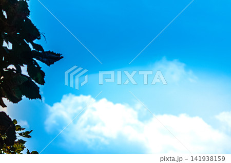 酷暑日の夏空 酷暑日の夏空 141938159