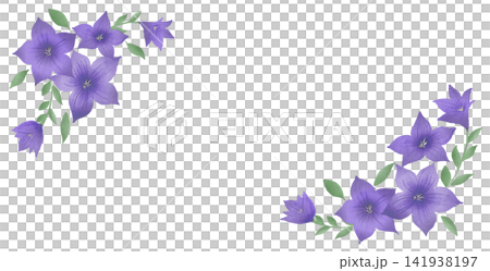 風鈴草插圖邊框 風鈴草插圖邊框 141938197