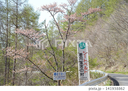 長野県_北相木村_ぶどう峠 長野県_北相木村_ぶどう峠 141938862