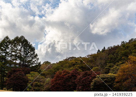 青空と大きな雲が広がる初秋の山並みと紅葉の木々 青空と大きな雲が広がる初秋の山並みと紅葉の木々 141939225