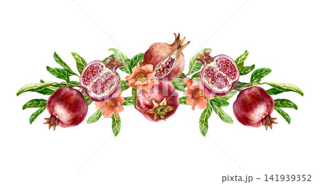 Red pomegranates with flowers and leaves. Horizontal composition with ripe fruits, whole and cut. Hand drawn watercolor illustration in a botanical style for greeting cards, juice labels and cosmetics Red pomegranates with flowers and leaves. Horizontal composition with ripe fruits, whole and cut. Hand drawn watercolor illustration in a botanical style for greeting cards, juice labels and cosmetics 141939352