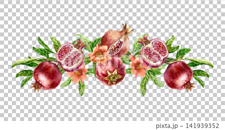 Red pomegranates with flowers and leaves. Horizontal composition with ripe fruits, whole and cut. Hand drawn watercolor illustration in a botanical style for greeting cards, juice labels and cosmetics Red pomegranates with flowers and leaves. Horizontal composition with ripe fruits, whole and cut. Hand drawn watercolor illustration in a botanical style for greeting cards, juice labels and cosmetics 141939352