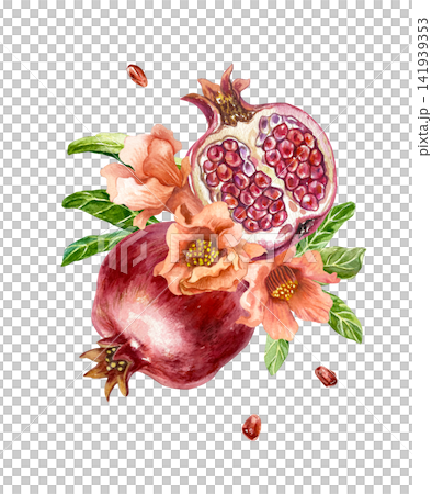 Ripe red pomegranates. Whole fruit and half with seeds, decorated with flowers and green leaves. Hand drawn watercolor illustration in a botanical style for greeting cards, juice labels and cosmetics. Ripe red pomegranates. Whole fruit and half with seeds, decorated with flowers and green leaves. Hand drawn watercolor illustration in a botanical style for greeting cards, juice labels and cosmetics. 141939353