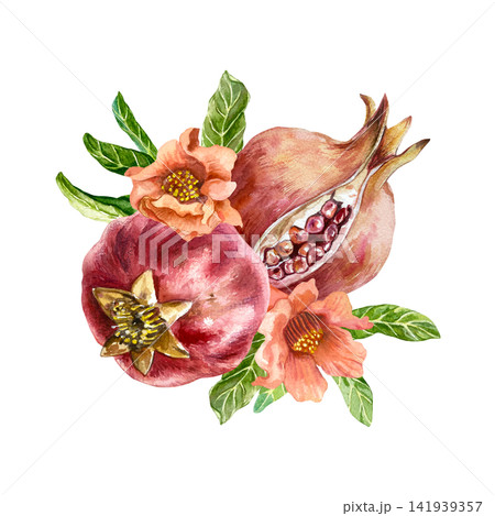 Ripe red pomegranates. The fruit is whole, cut open, revealing the seeds, flowers and green leaves. Hand drawn watercolor illustration in a botanical style for juice labels and natural cosmetics. Ripe red pomegranates. The fruit is whole, cut open, revealing the seeds, flowers and green leaves. Hand drawn watercolor illustration in a botanical style for juice labels and natural cosmetics. 141939357