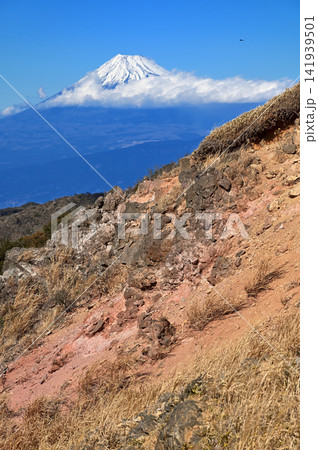 伊豆半島の伊豆山稜線歩道 小達磨山より冬の富士山を望む 伊豆半島の伊豆山稜線歩道 小達磨山より冬の富士山を望む 141939501