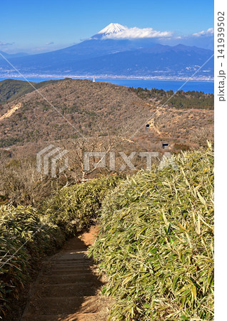 伊豆半島の伊豆山稜線歩道 小達磨山の縦走路から望む富士山 伊豆半島の伊豆山稜線歩道 小達磨山の縦走路から望む富士山 141939502
