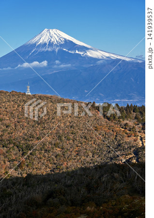 伊豆半島 伊豆山稜線歩道 小達磨山から望む雪景色の富士山と愛鷹山 伊豆半島 伊豆山稜線歩道 小達磨山から望む雪景色の富士山と愛鷹山 141939537