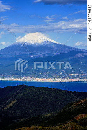 伊豆半島の伊豆山稜線歩道 達磨山より望む真冬の富士山 伊豆半島の伊豆山稜線歩道 達磨山より望む真冬の富士山 141939630