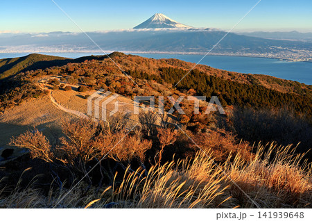 伊豆半島 伊豆山稜線歩道の金冠山より 朝日浴びる山稜と富士山 伊豆半島 伊豆山稜線歩道の金冠山より 朝日浴びる山稜と富士山 141939648