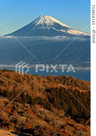 伊豆半島の伊豆山稜線歩道 金冠山山頂より望む冬の朝の富士山 伊豆半島の伊豆山稜線歩道 金冠山山頂より望む冬の朝の富士山 141939651
