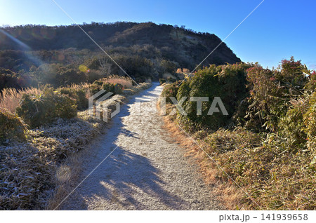 伊豆半島 伊豆山稜線歩道の小達磨山 冬の朝の凍てつく縦走路 伊豆半島 伊豆山稜線歩道の小達磨山 冬の朝の凍てつく縦走路 141939658