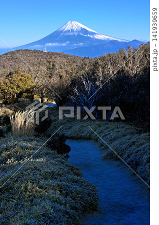 伊豆半島 伊豆山稜線歩道 小達磨山の道上から望む富士山 伊豆半島 伊豆山稜線歩道 小達磨山の道上から望む富士山 141939659