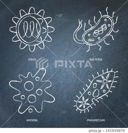 Microbiology chalkboard icon set Microbiology chalkboard icon set 141939970