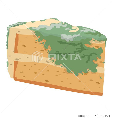 Moldy cake dessert vector isolated Moldy cake dessert vector isolated 141940504