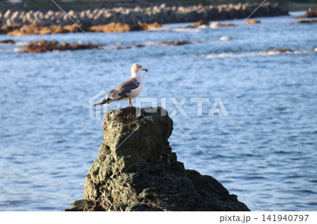 大岩海岸にある「大岩」。青森県西津軽郡深浦町。岩の島の風景 大岩海岸にある「大岩」。青森県西津軽郡深浦町。岩の島の風景 141940797