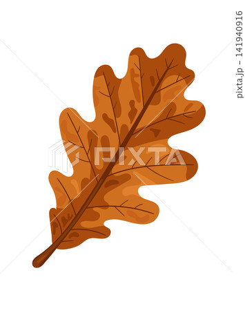 Brown oak leaf in rich autumn tones, isolated on a white background. Flat vector illustration ideal for seasonal, botanical, harvest, and nature-themed designs. Brown oak leaf in rich autumn tones, isolated on a white background. Flat vector illustration ideal for seasonal, botanical, harvest, and nature-themed designs. 141940916